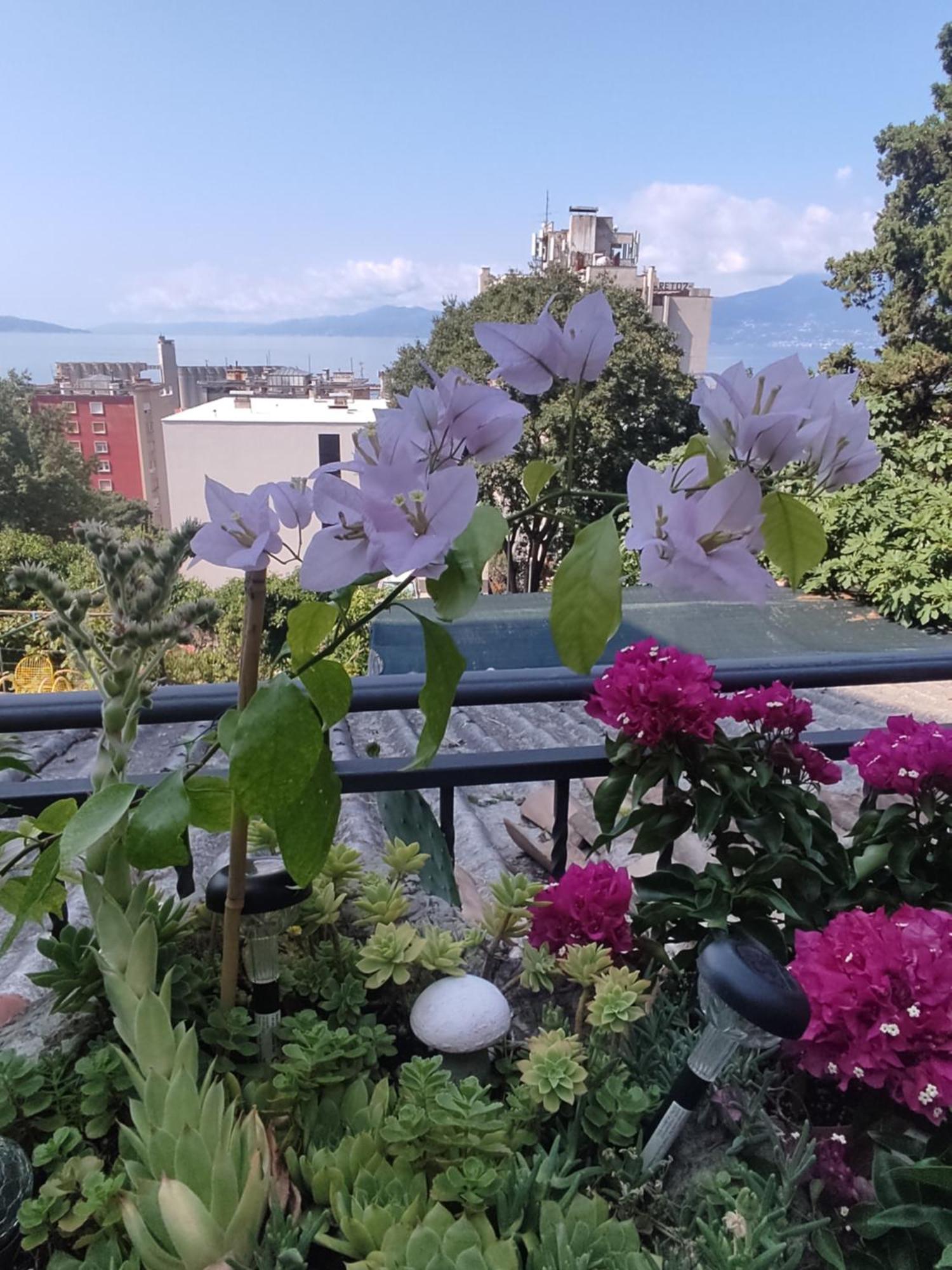 Apartman Bella Vista Rijeka Apartment Ngoại thất bức ảnh