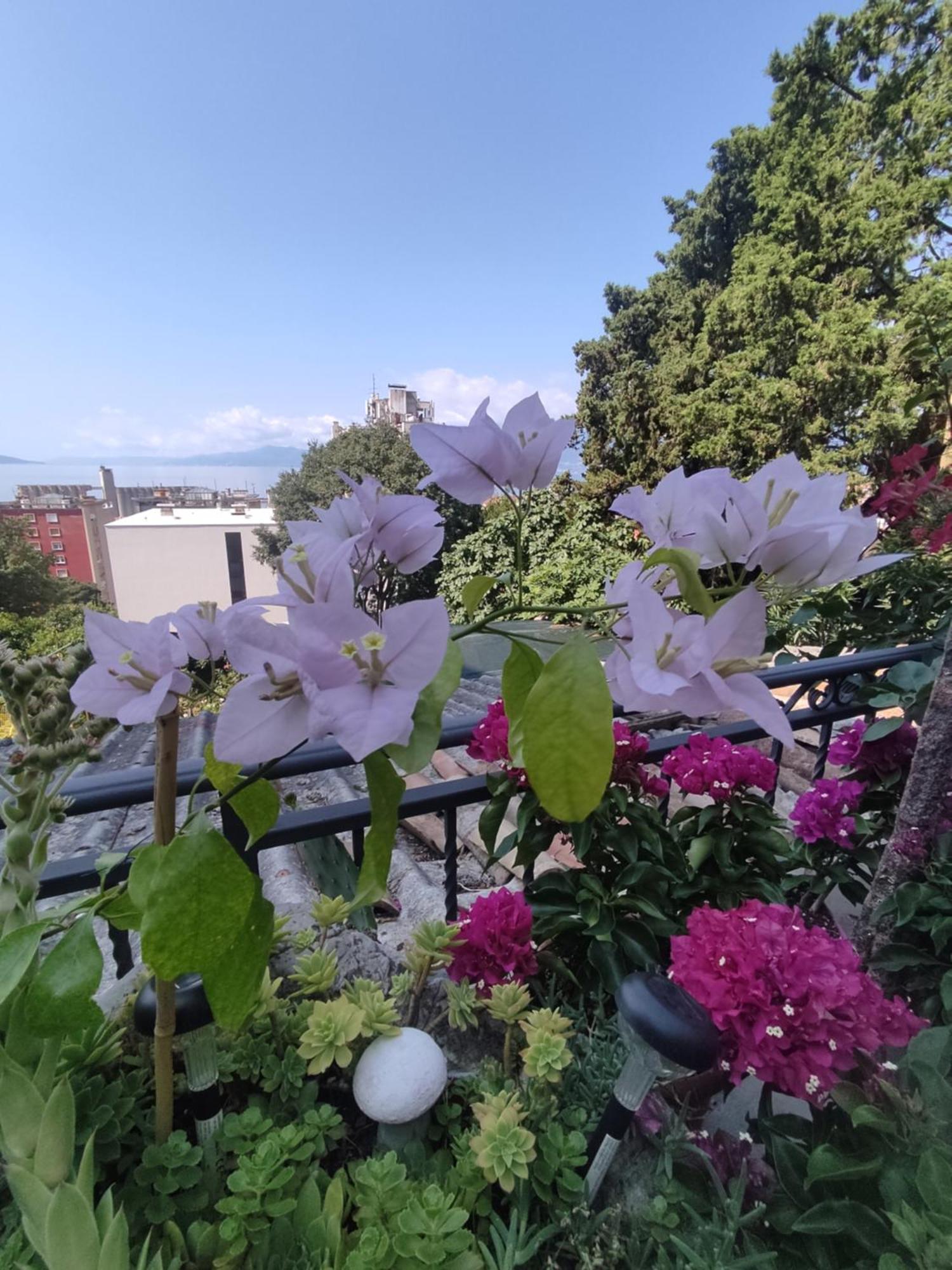 Apartman Bella Vista Rijeka Apartment Ngoại thất bức ảnh